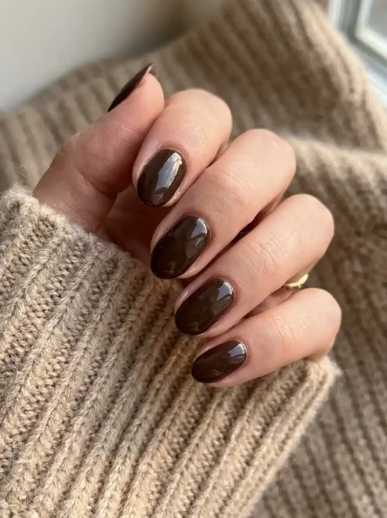 Chocolate Brown Glossy November Fall Nail Ideas