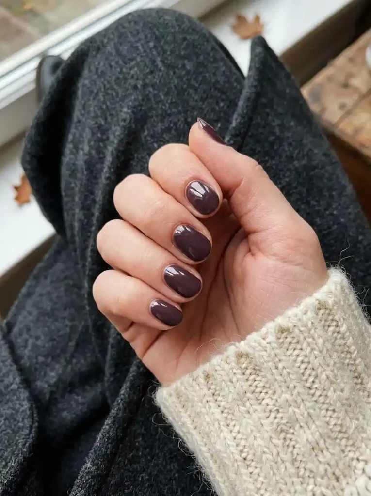 Glossy Deep Plum Nails